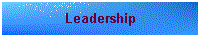 Leadership